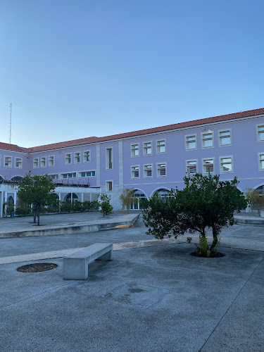 Escola Básica e Secundária Gil Vicente