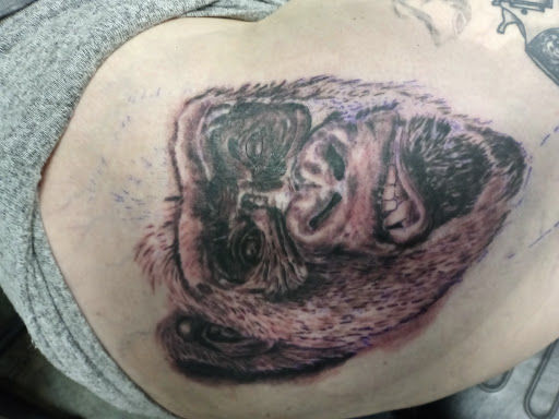 Tattoo Shop «Ink Assassins Tattoos & Prcngs», reviews and photos, 429 Grant St, Buffalo, NY 14213, USA