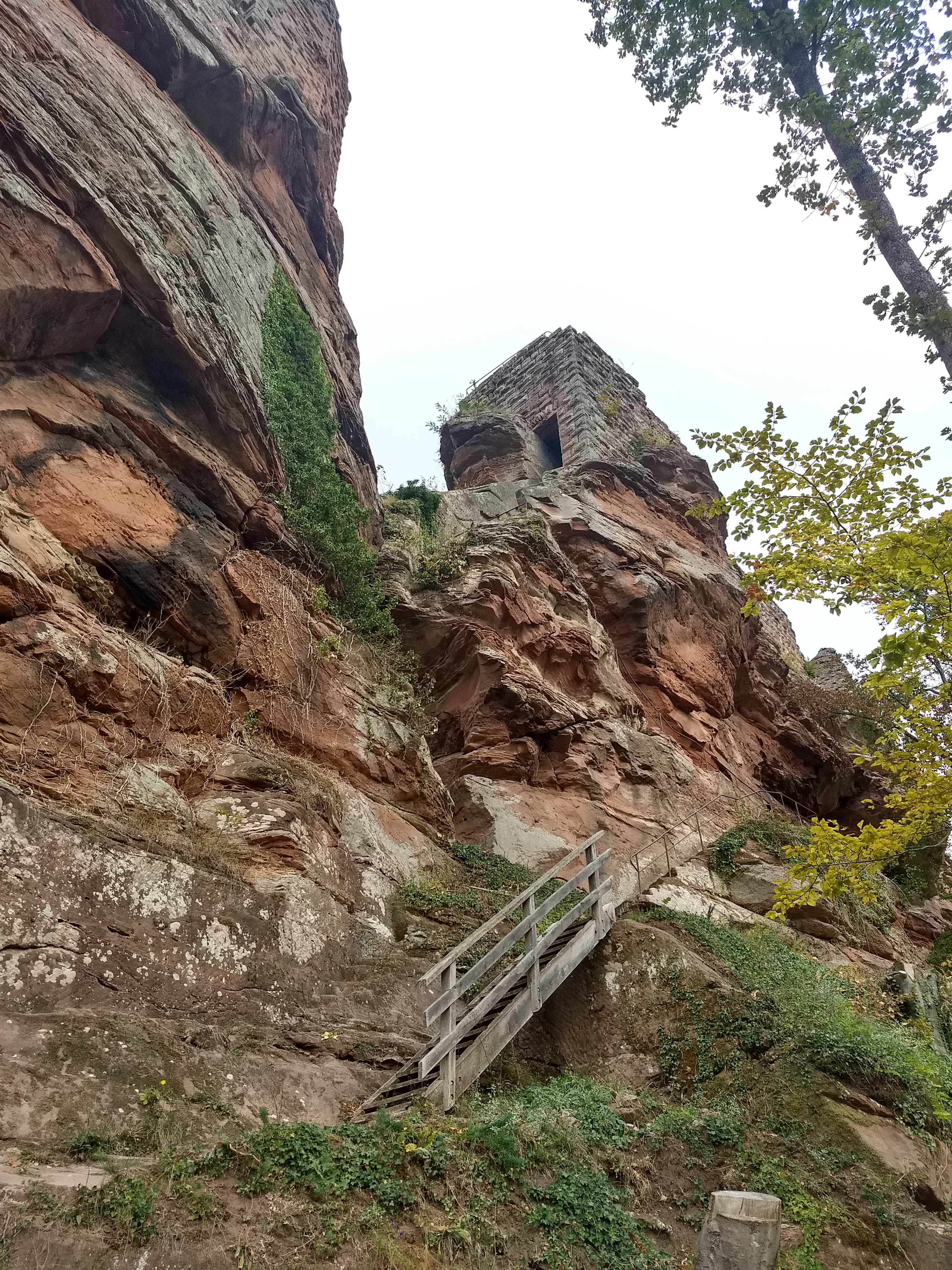 Photo n° 1 de l'avis de Michael.c fait le 11/10/2018 à 13:54