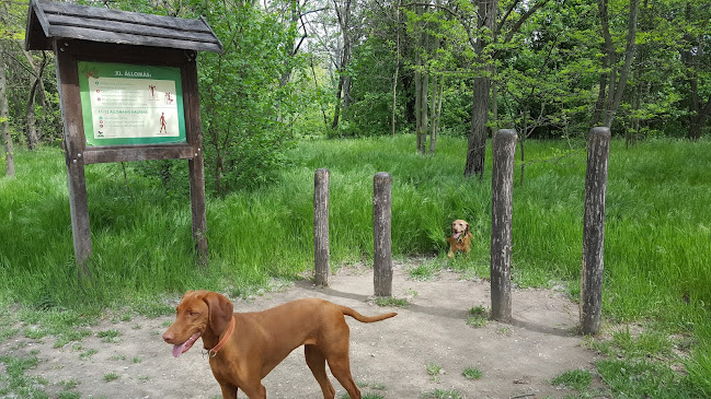 Budapest, Akácfa u., 1214