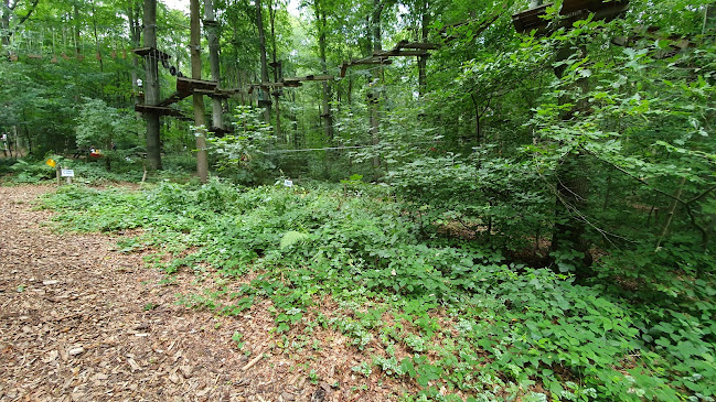 Reacties en beoordelingen van Kletterwald Aachen