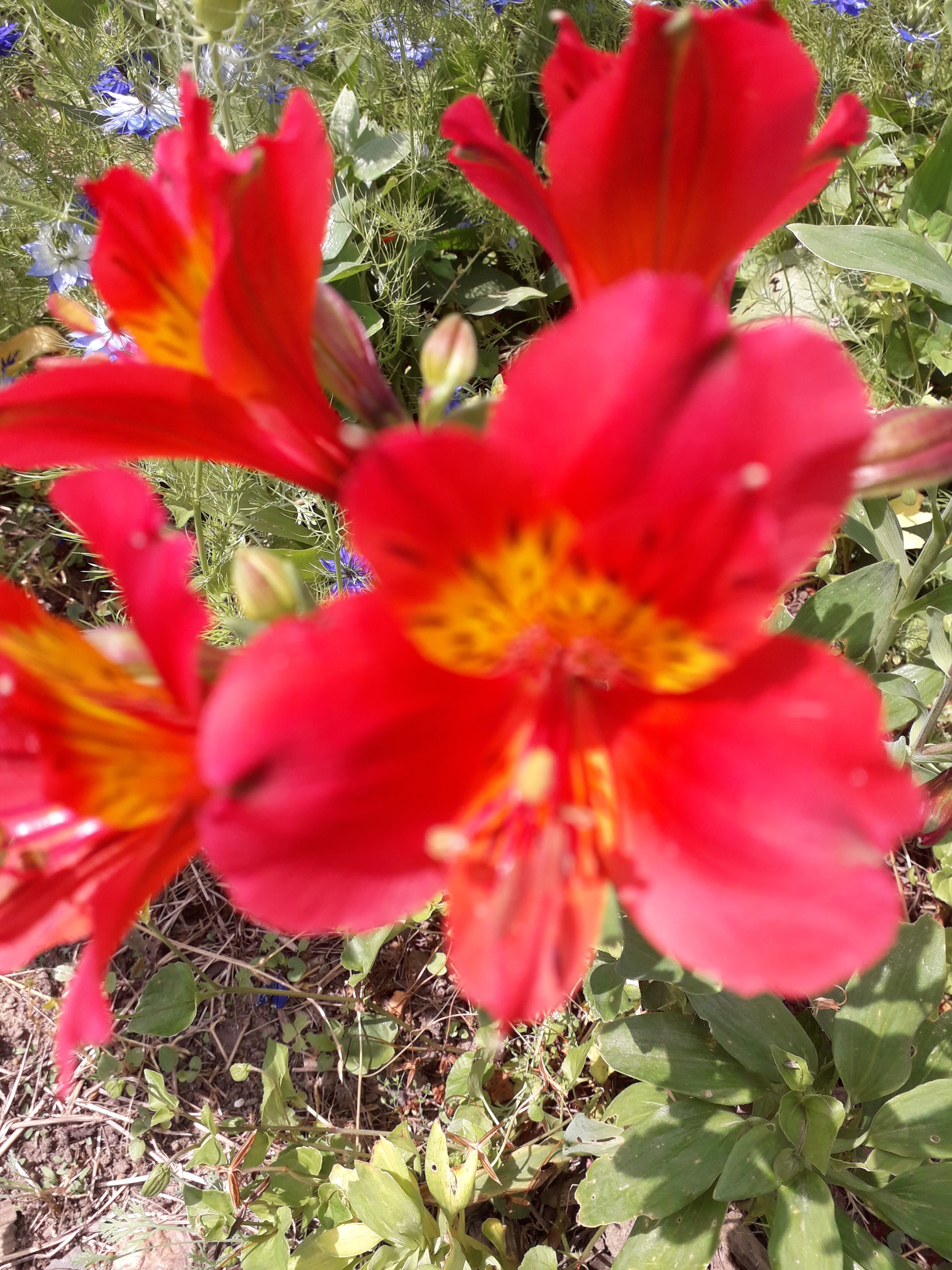 Photo n° 1 de l'avis de JEAN.U fait le 01/07/2019 à 08:44