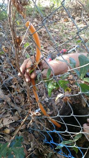 Plumber «Prestige Plumbing & Backflow Services LLC», reviews and photos, 1612 Pine Ave, DeLand, FL 32724, USA