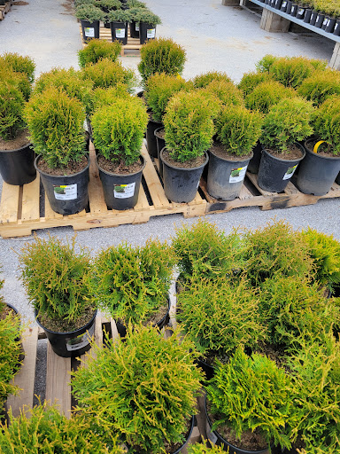 Home Improvement Store «The Home Depot», reviews and photos, 20808 S Cicero Ave, Matteson, IL 60443, USA