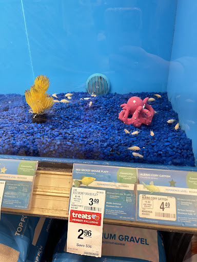 Pet Supply Store «PetSmart», reviews and photos, 916 Loganville Hwy, Bethlehem, GA 30620, USA
