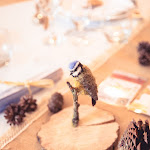 Photo n° 3 de l'avis de Kévin.R fait le 08/11/2023 à 09:40 pour Vivien Bluteau 