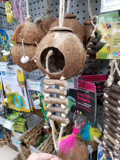 Pet Store «Petland South Orlando», reviews and photos, 3920 S Semoran Blvd, Orlando, FL 32822, USA