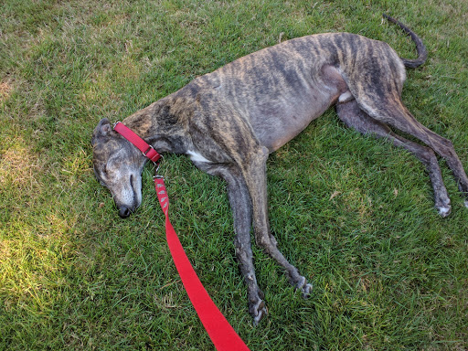 Park «Center Street Park», reviews and photos, 11895 SW Center St, Beaverton, OR 97005, USA