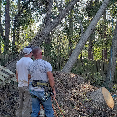 Florida's Heritage Tree Service L.L.C