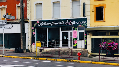 L' Anthurium à Piennes