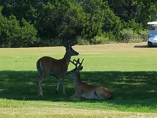 Golf Course «Highland Lakes Golf Course», reviews and photos, 20552 Highland Lake Dr, Lago Vista, TX 78645, USA