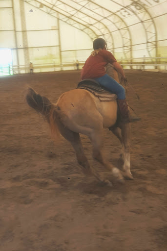 Tack Shop «South Point Saddlery», reviews and photos, 6709 Whaleyville Blvd, Suffolk, VA 23438, USA