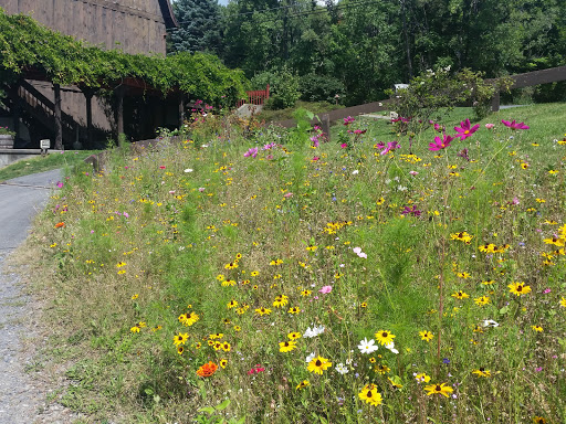 Winery «Six Mile Creek Vineyard», reviews and photos, 1551 Slaterville Rd, Ithaca, NY 14850, USA