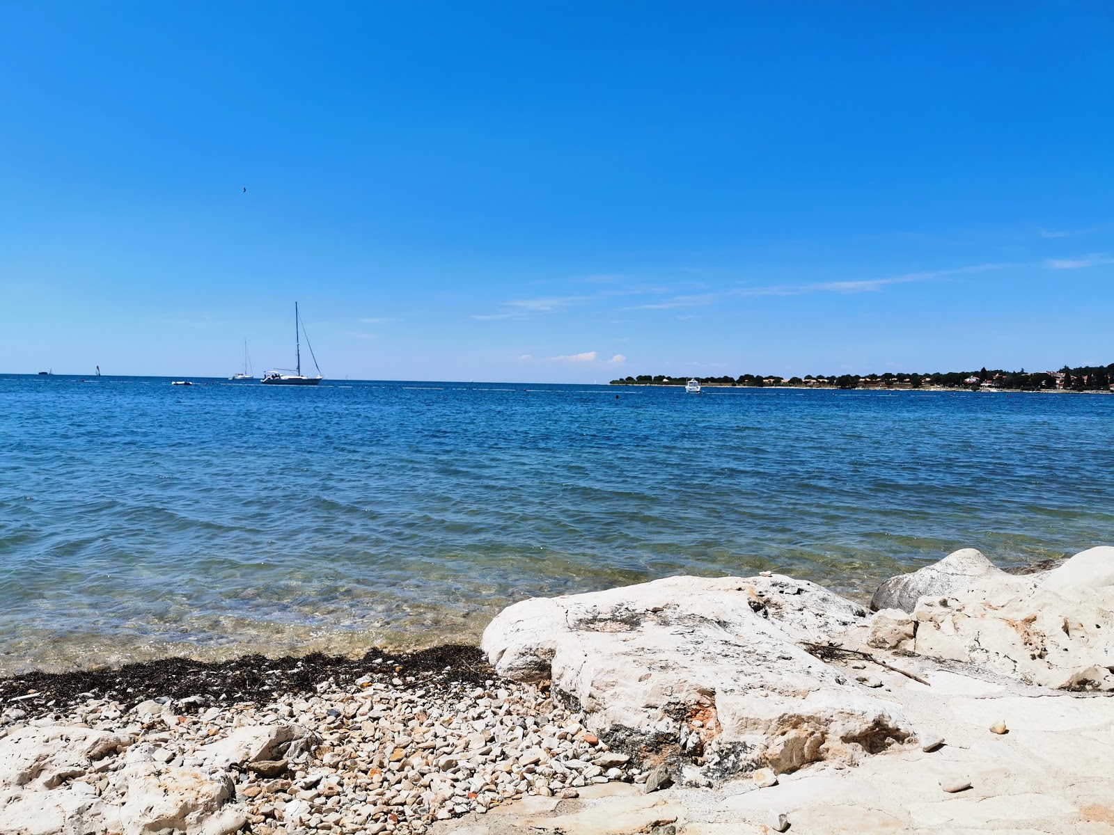 Foto av Dajla beach bekvämlighetsområde