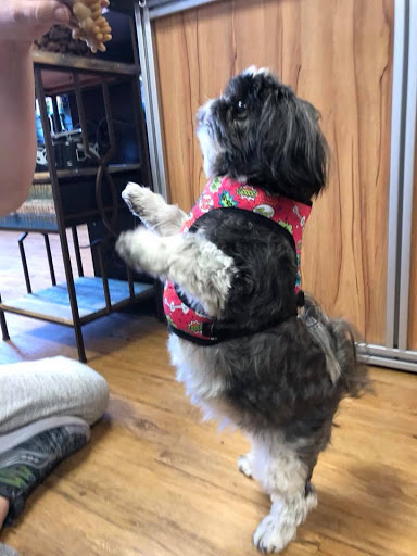 Pet Supply Store «EarthWise Pet Supply - Richardson», reviews and photos, 1310 W Campbell Rd #128, Richardson, TX 75080, USA