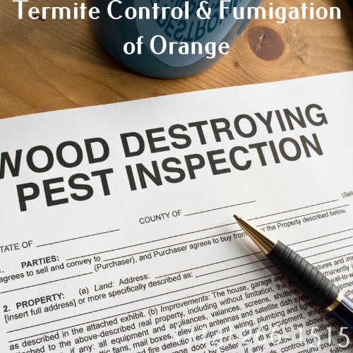 Termite Control & Fumigation of Orange