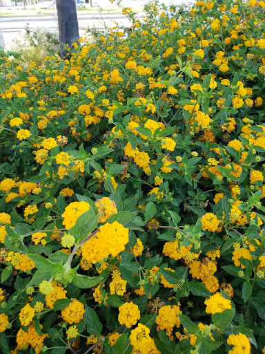 Shoe Store «SKECHERS Factory Outlet», reviews and photos, 711 W 2nd St, San Bernardino, CA 92410, USA