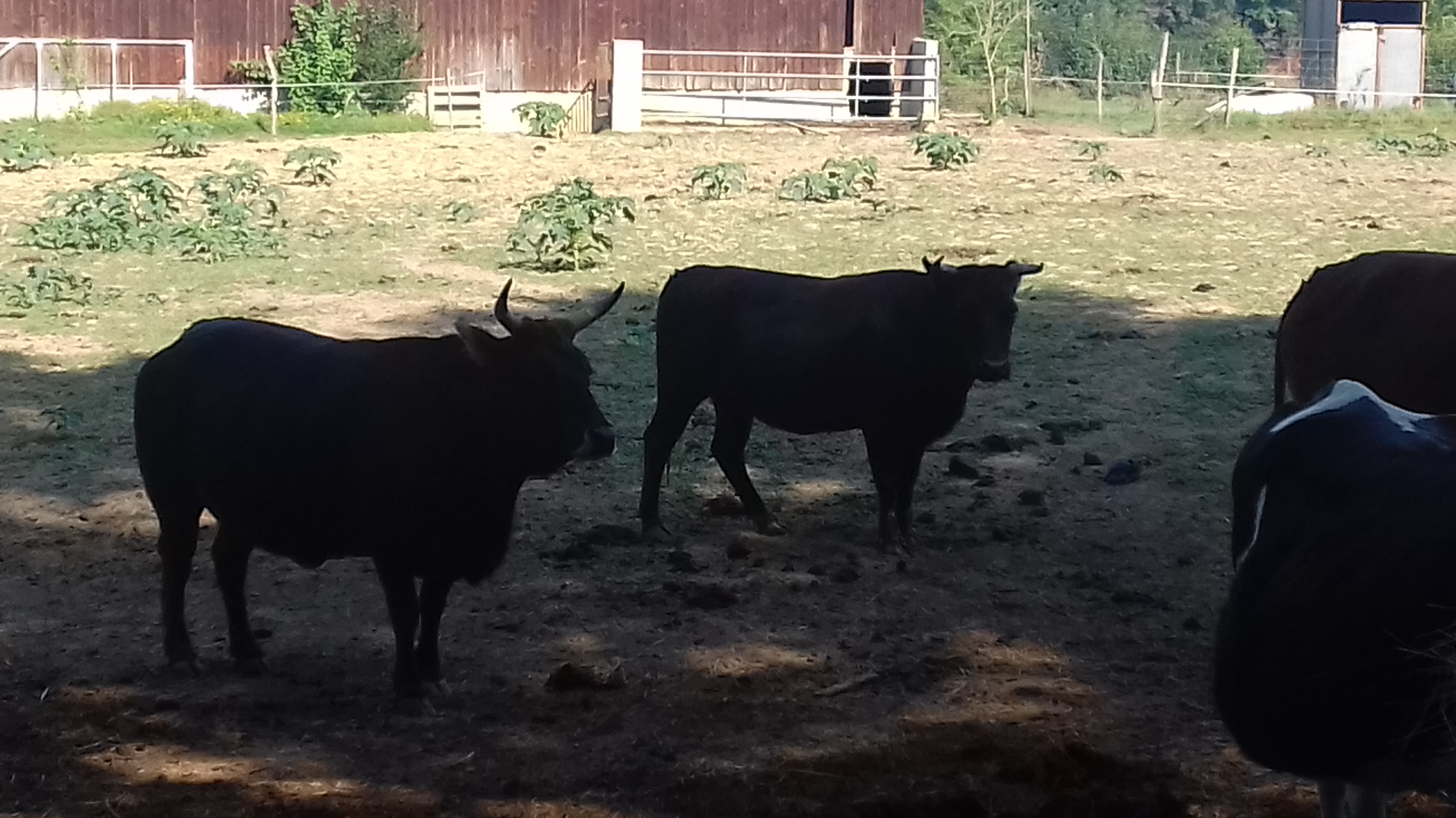 Photo n° 3 de l'avis de Laurent.o fait le 20/08/2018 à 10:25