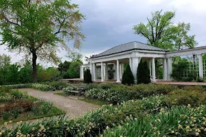 Delaware Park Rose Garden image