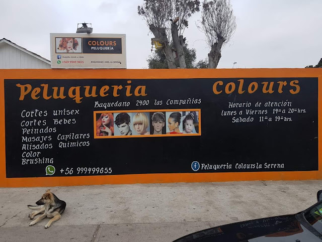 Opiniones de Peluqueria Colours en La Serena - Centro comercial