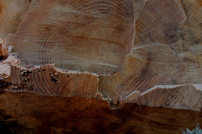 Woodikat Holzhandwerk