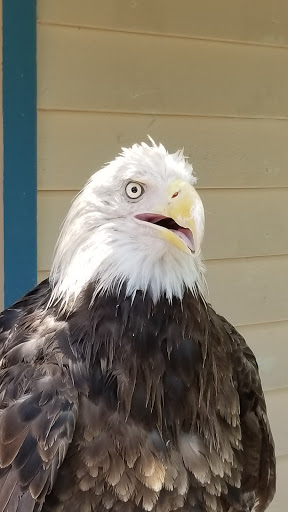 Park «George C. McGough Nature Park - The Narrows», reviews and photos, 11901 146th St N, Largo, FL 33774, USA