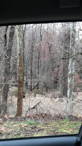 Golf Course «Galloping Hill Park and Golf Course», reviews and photos, 3 Golf Dr, Kenilworth, NJ 07033, USA