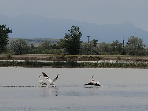 Golf Course «Headwaters Public Golf Course», reviews and photos, 225 N 7th Ave E, Three Forks, MT 59752, USA