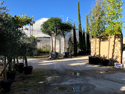Provence Jardin Pépinieres à Eygalières