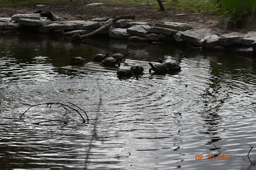 Park «George C. McGough Nature Park - The Narrows», reviews and photos, 11901 146th St N, Largo, FL 33774, USA