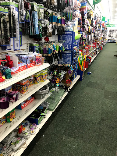 Dollar Store «Dollar Tree», reviews and photos, 11555 San Pablo Ave, El Cerrito, CA 94530, USA