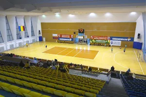 Sala Sporturilor 'Narcisa Lecușanu' image