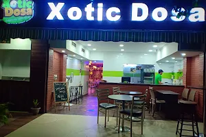 Xotic Dosa image