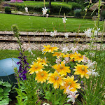 Photo n° 1 de l'avis de Fanny.e fait le 16/09/2023 à 15:40 pour Nigloland à Dolancourt