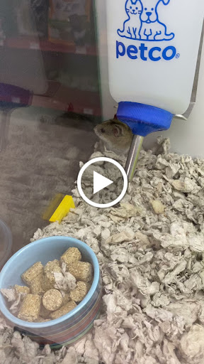 Pet Supply Store «Petco Animal Supplies», reviews and photos, 848 N Colony Rd c, Wallingford, CT 06492, USA