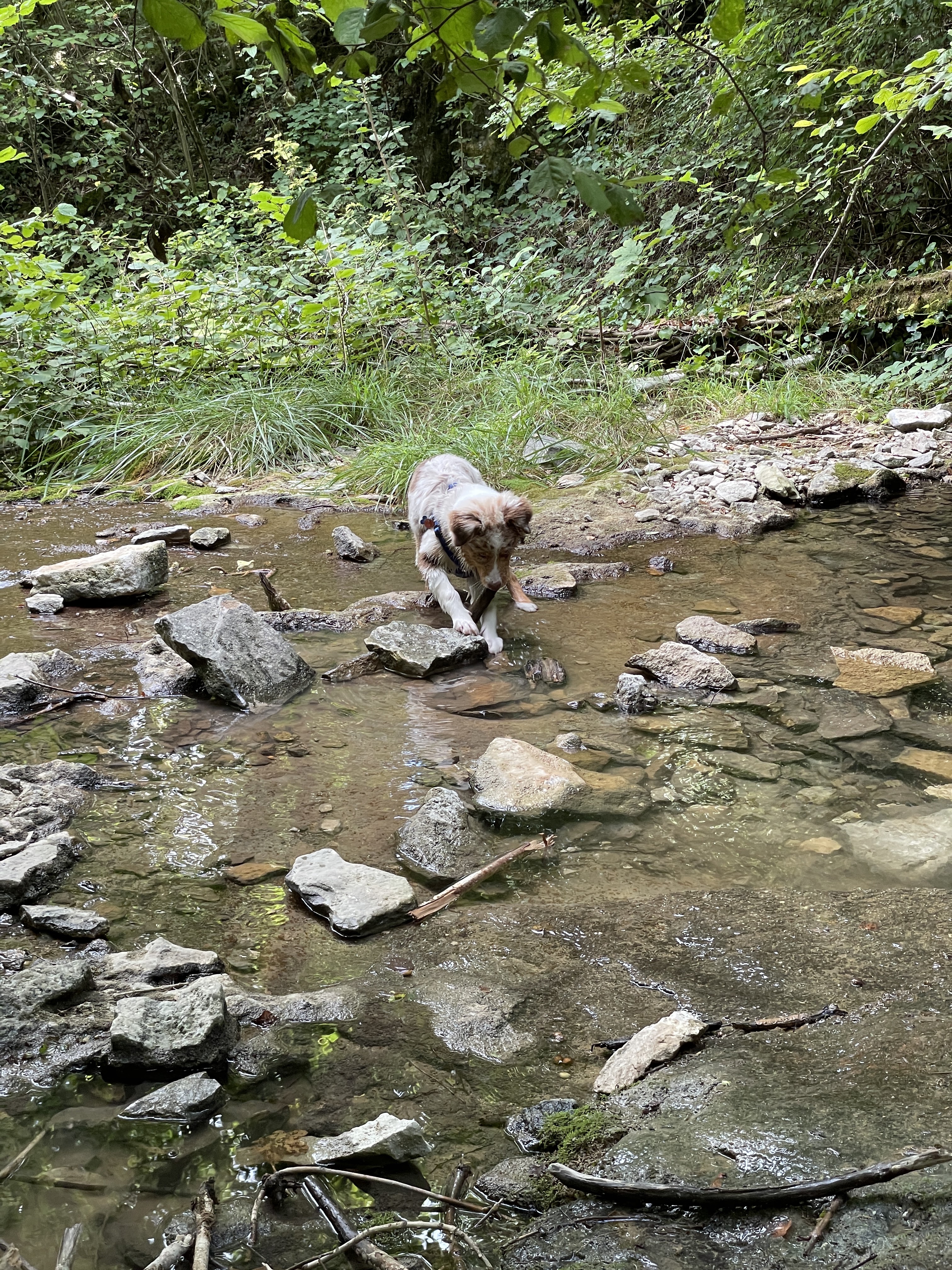 Photo n° 1 de l'avis de René.r fait le 03/09/2022 à 16:05