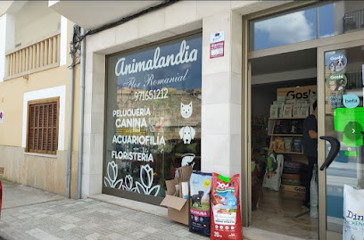 Animalandia Flor Romanial - Servicios para mascota en Campos