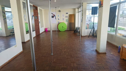 TOXIC Pole Dance Studio