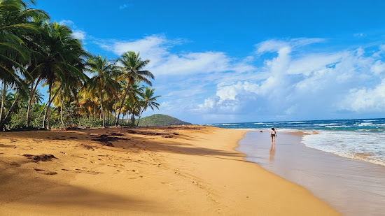 Playa Moron