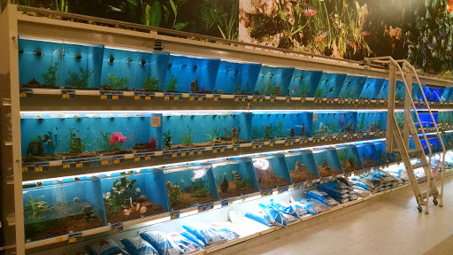 Pet Supply Store «PetSmart», reviews and photos, 351 N Frontage Rd, New London, CT 06320, USA