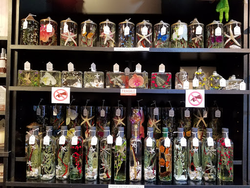 Gift Shop «The Chandlery: Serendipity Gifts», reviews and photos, 806 E New Haven Ave, Melbourne, FL 32901, USA
