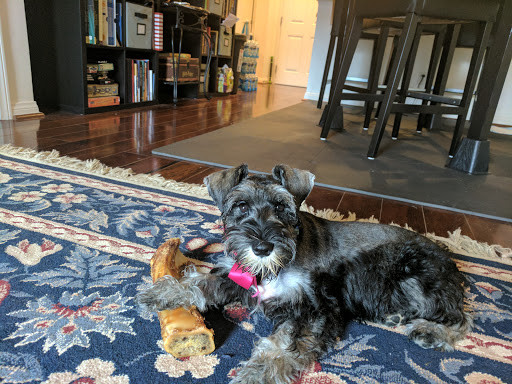 Pet Supply Store «EarthWise Pet Supply East Village», reviews and photos, 1051 Market St, San Diego, CA 92101, USA