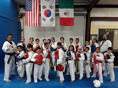 International academy of taekwondo