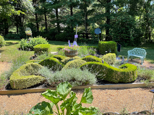 Farm «Blooming Hill Lavender Farm», reviews and photos, 19929 Telegraph Springs Rd, Purcellville, VA 20132, USA