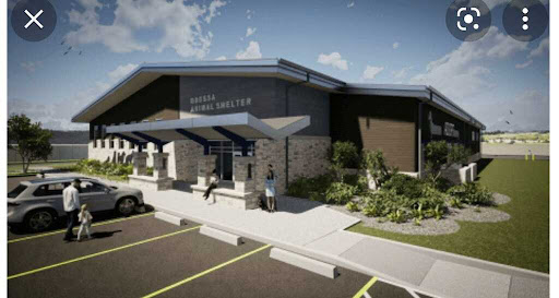 Animal Control Service «Animal Control», reviews and photos