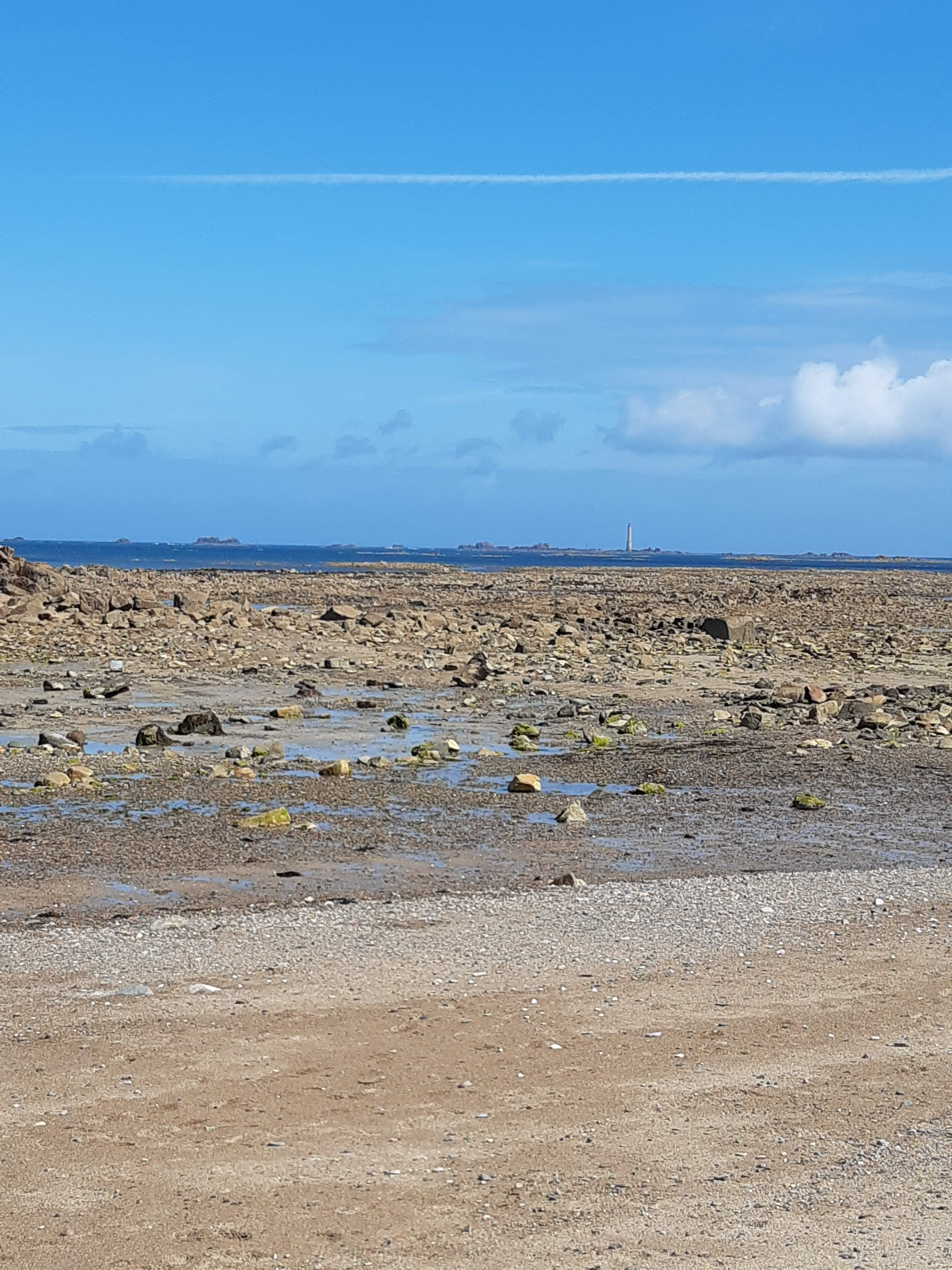 Photo n° 2 de l'avis de jj.m fait le 04/09/2021 à 07:56