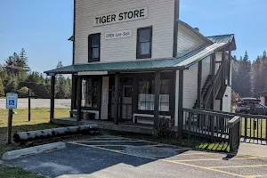 Tiger Museum image