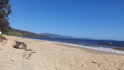 Zdjęcie Ninepin Point Beach z przestronna plaża