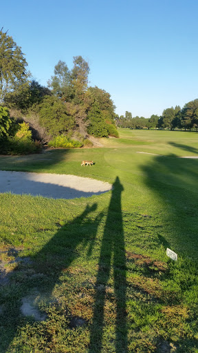 Golf Course «Dad Miller Golf Course», reviews and photos, 430 N Gilbert St, Anaheim, CA 92801, USA