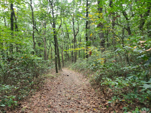 Landmark «The Pagoda», reviews and photos, 98 Duryea Dr, Reading, PA 19602, USA